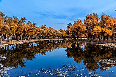 美食狩猎游戏 《Hangry》发布游玩演示预告